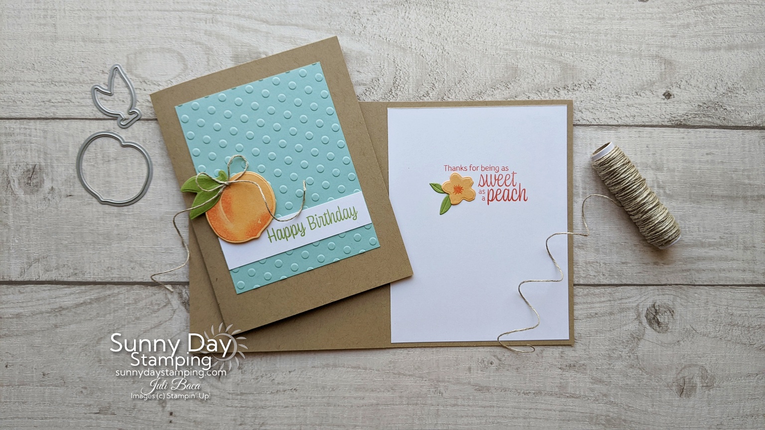 Simple card layout for spring! | Card Making Tutorial • Sunny Day Stamping