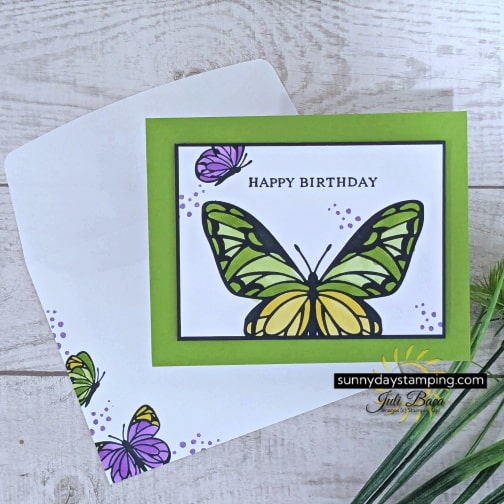 FBdsButterfly (10)-min