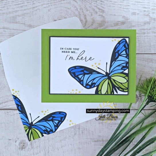 FBdsButterfly (8)-min