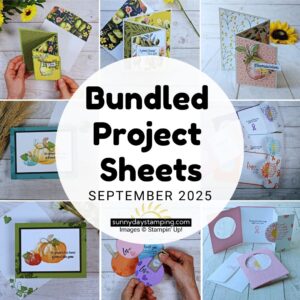 Project Sheets| September 2025