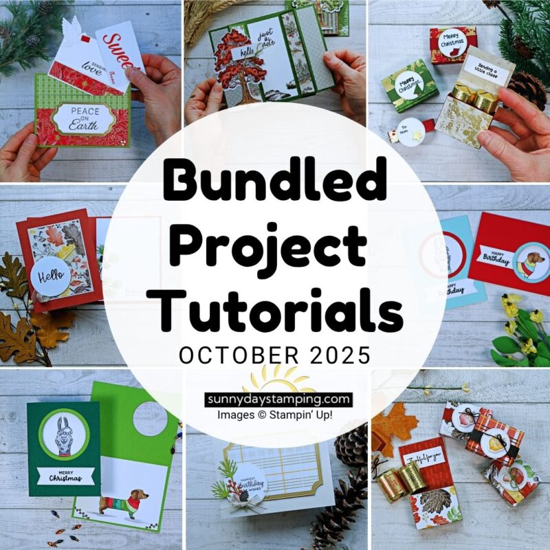 Project Sheets | October 2025