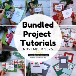 Project Sheets | November 2025