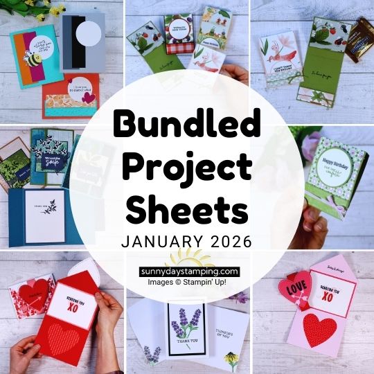 Project Sheets | January 2026